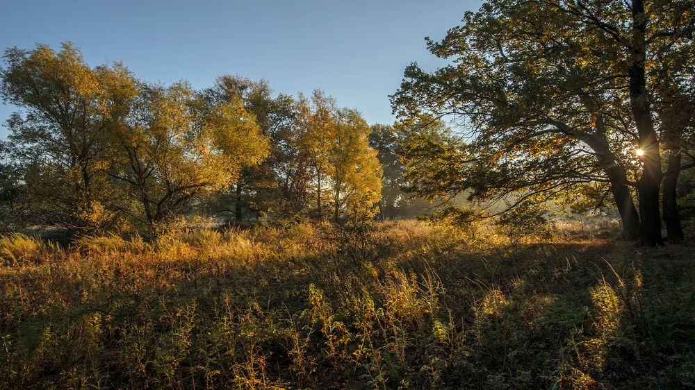 Photograph by Александр Белянский