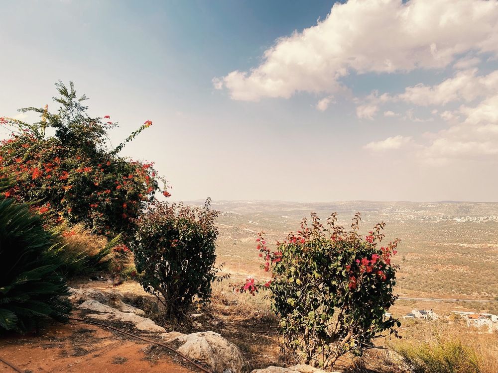 Фотография автора Galina Sa