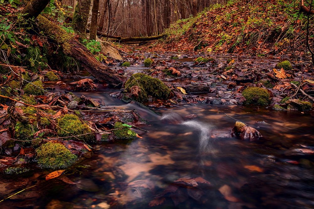 Photograph by Сундеев Дмитрий