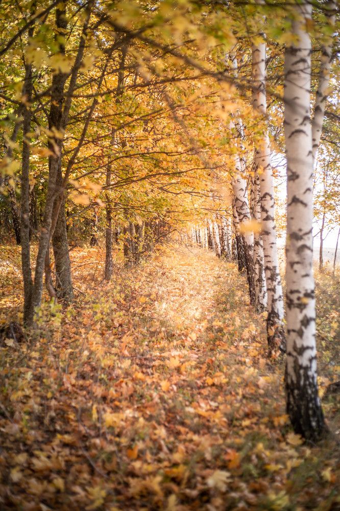 Photograph by Евгения Бочарова