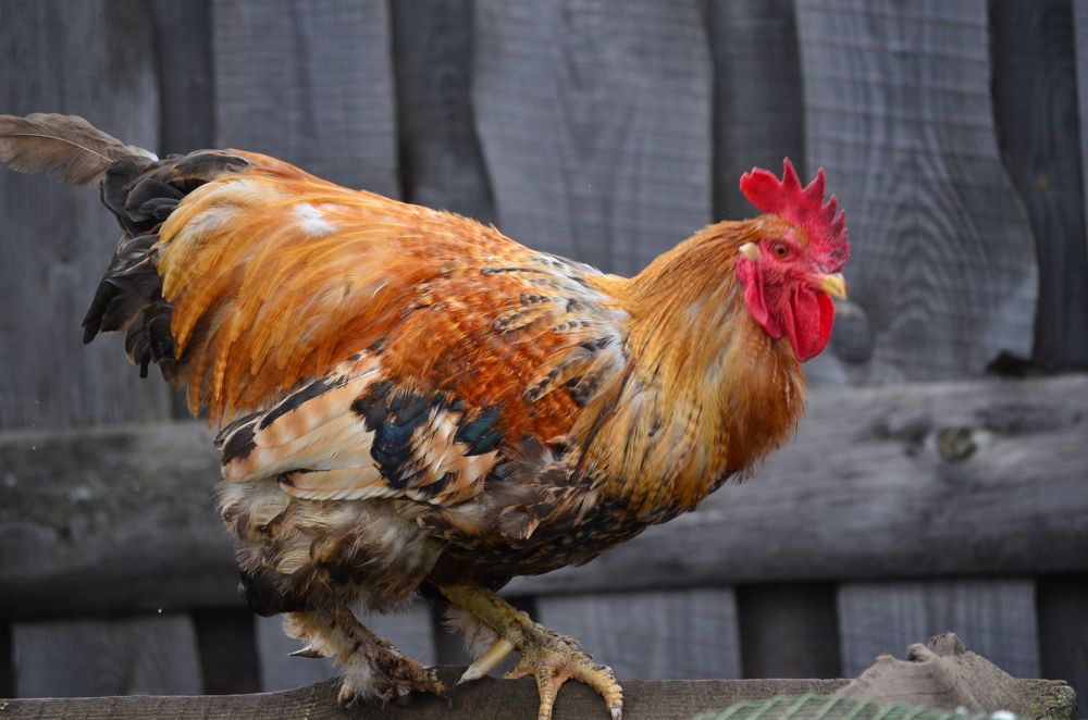 Photograph by Дарья Маркина