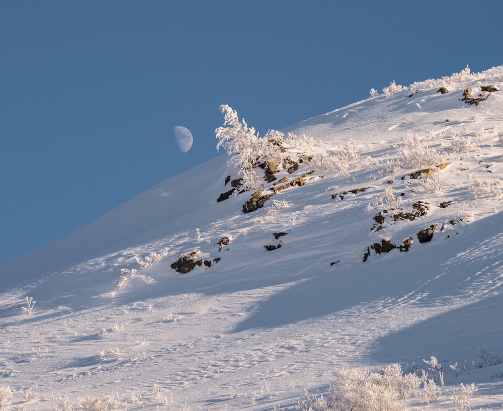 Photograph by Ирина Яук