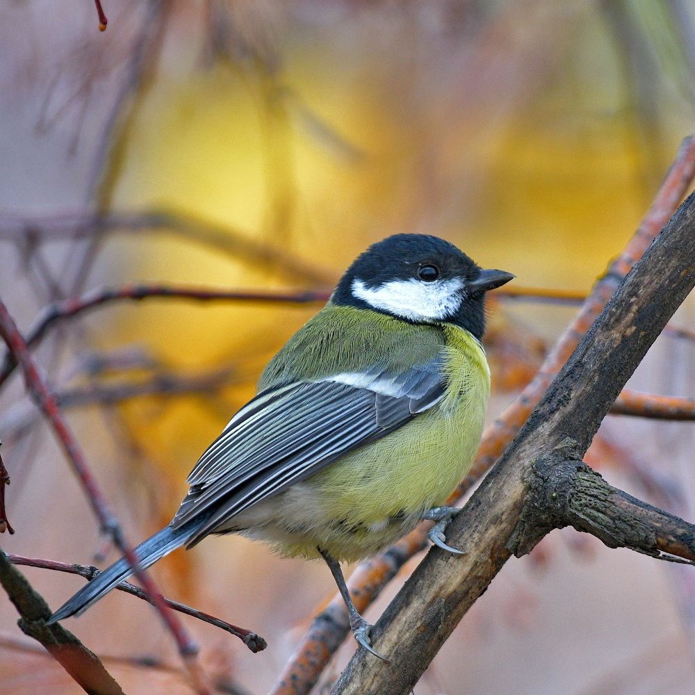 Photograph by Александр Катунцев