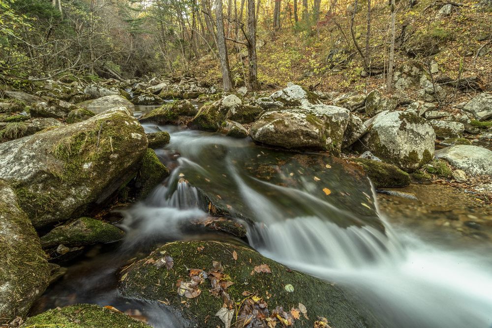 Photograph by ALEKSANDR KUZNETSOV