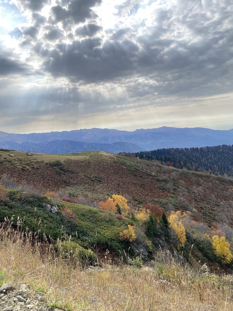 Photograph by Алиса Лукина