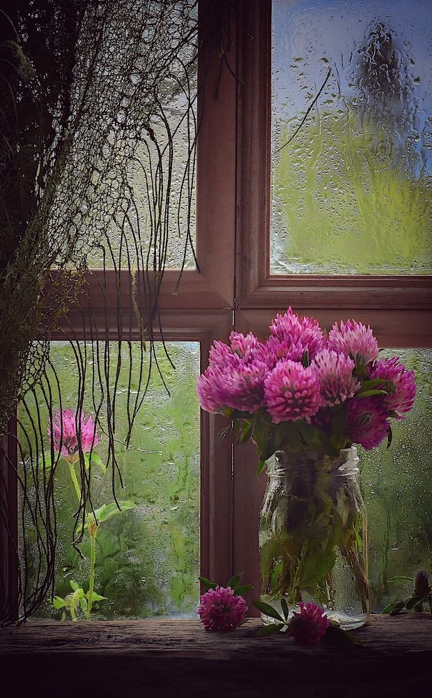 Photograph by Анастасия Чушкова