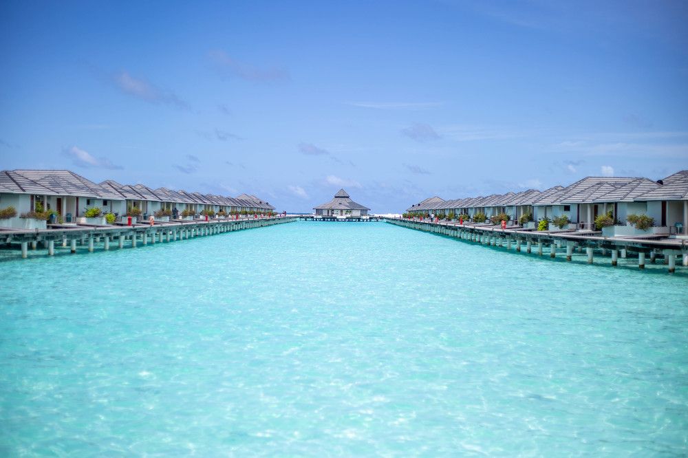 Photograph by Евгения Бочарова