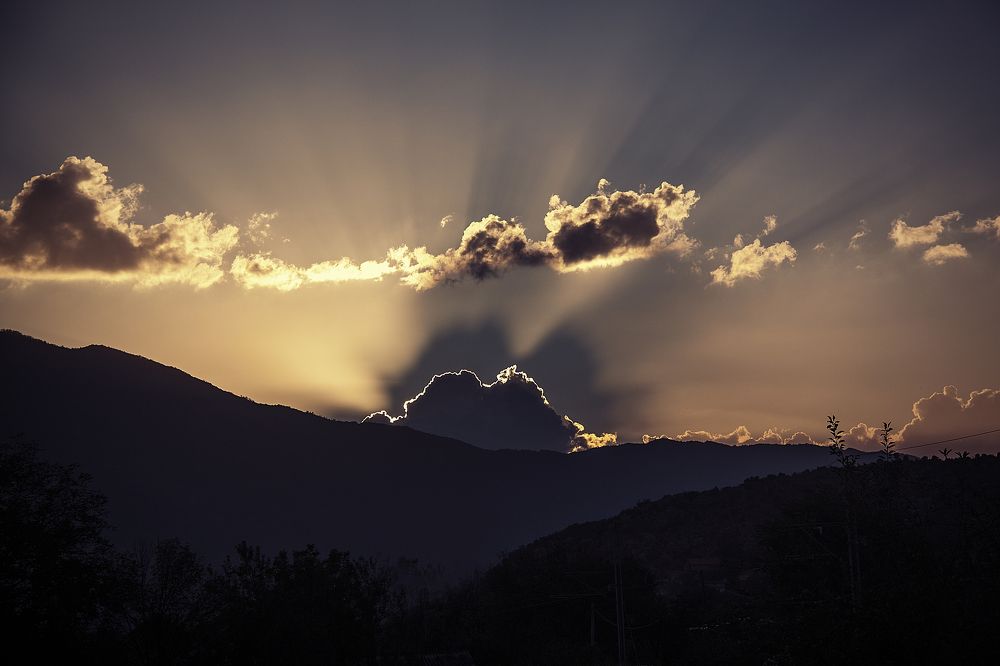 Photograph by Мария Трещева