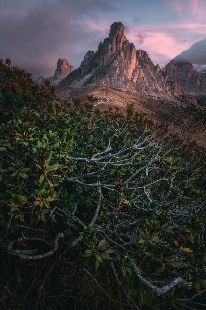 Photograph by Thomas de Franzoni