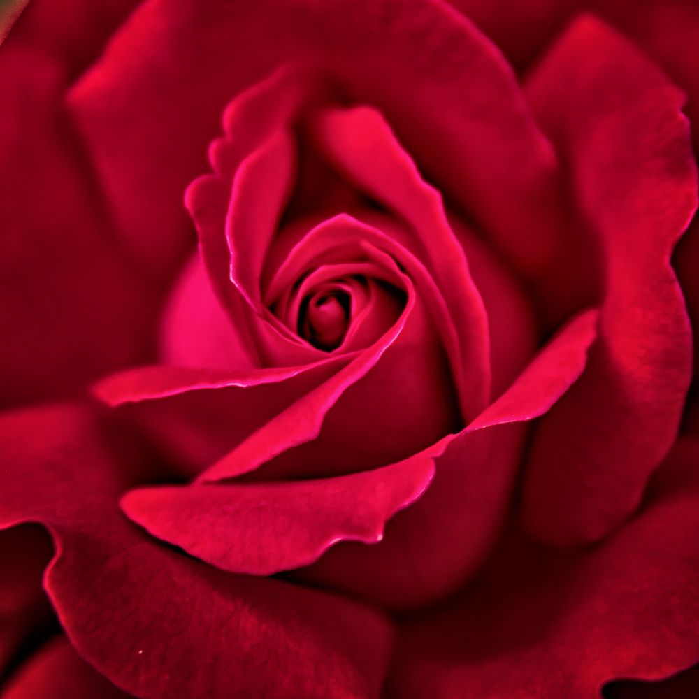 Photograph by Леонид Соснин