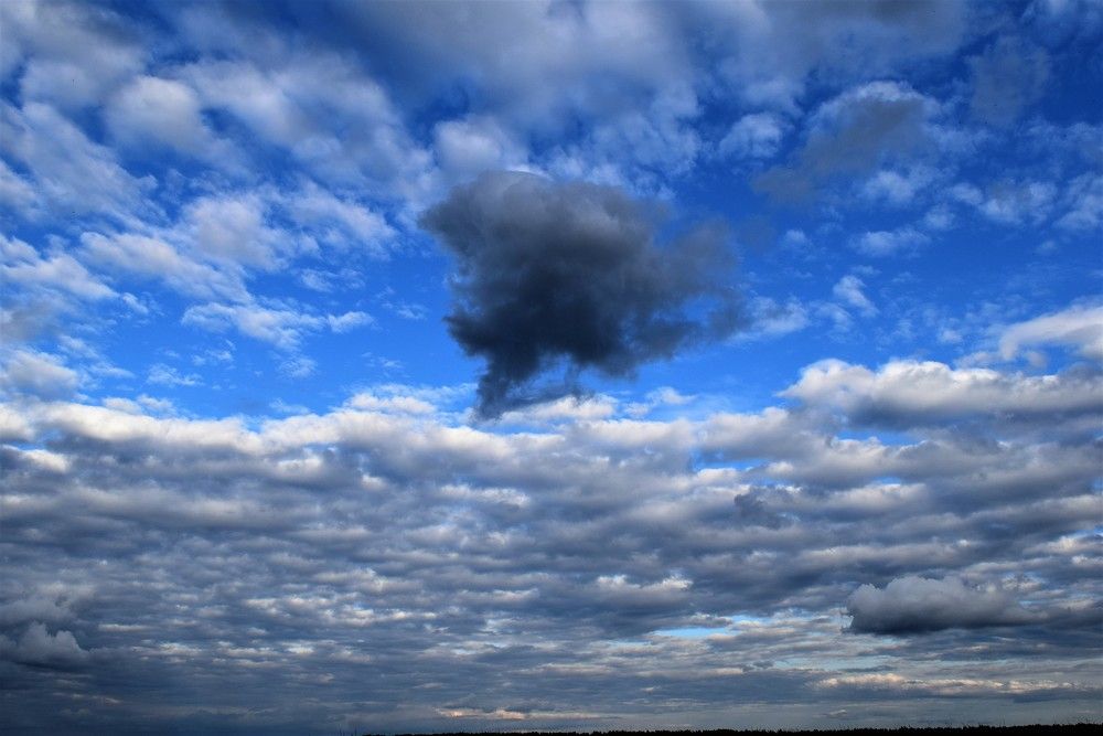 Photograph by Лариса Стрекулева