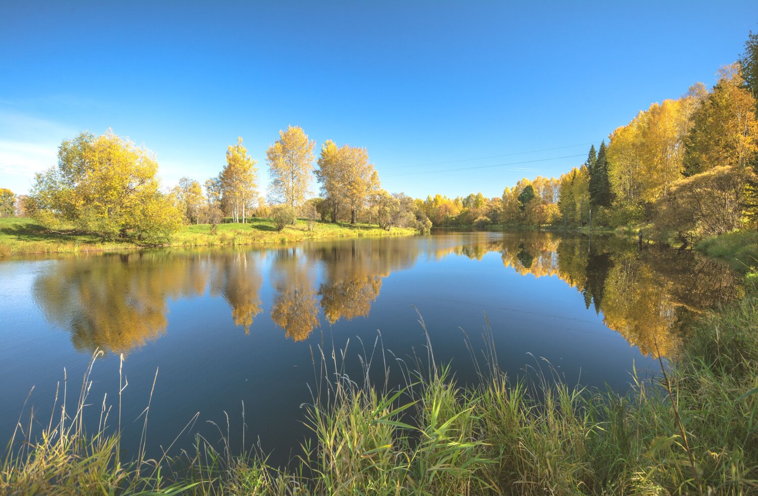 Photo #8271435