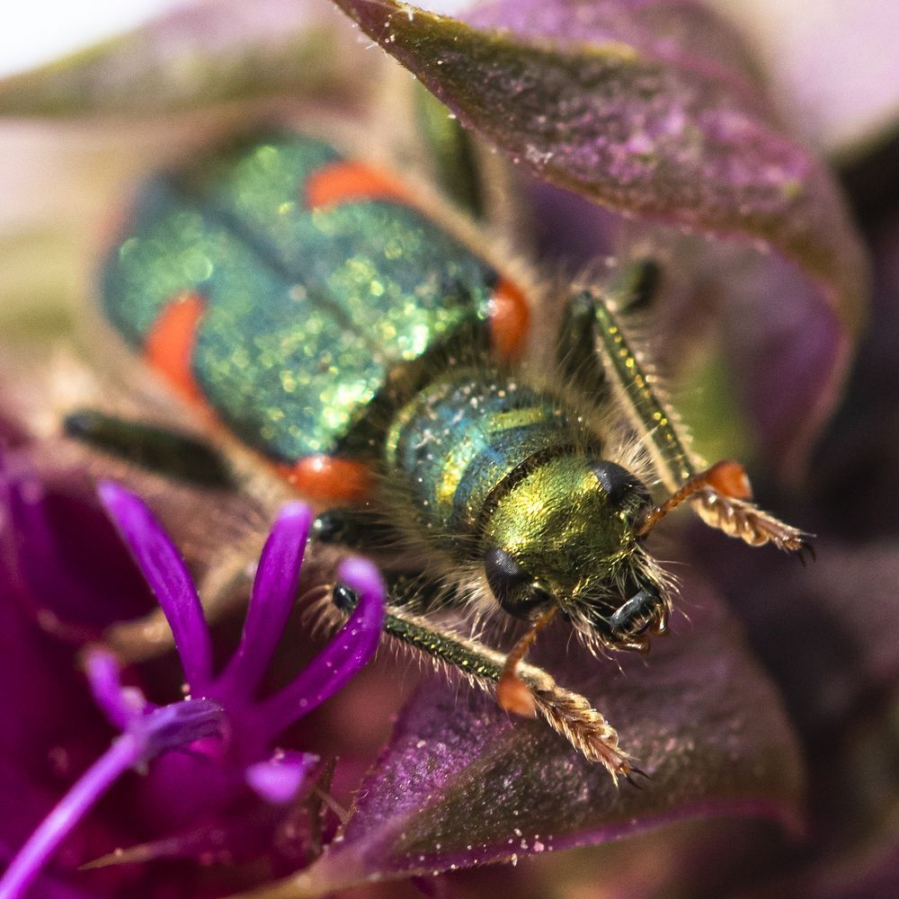 Фотография автора Владимир Пронин