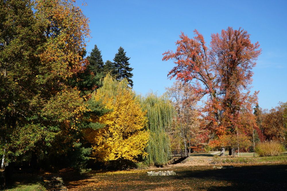 Photograph by Чавдар Георгиев