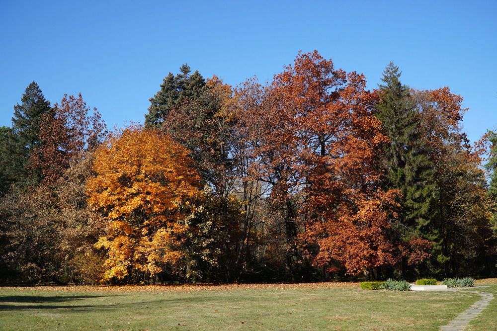 Photograph by Чавдар Георгиев