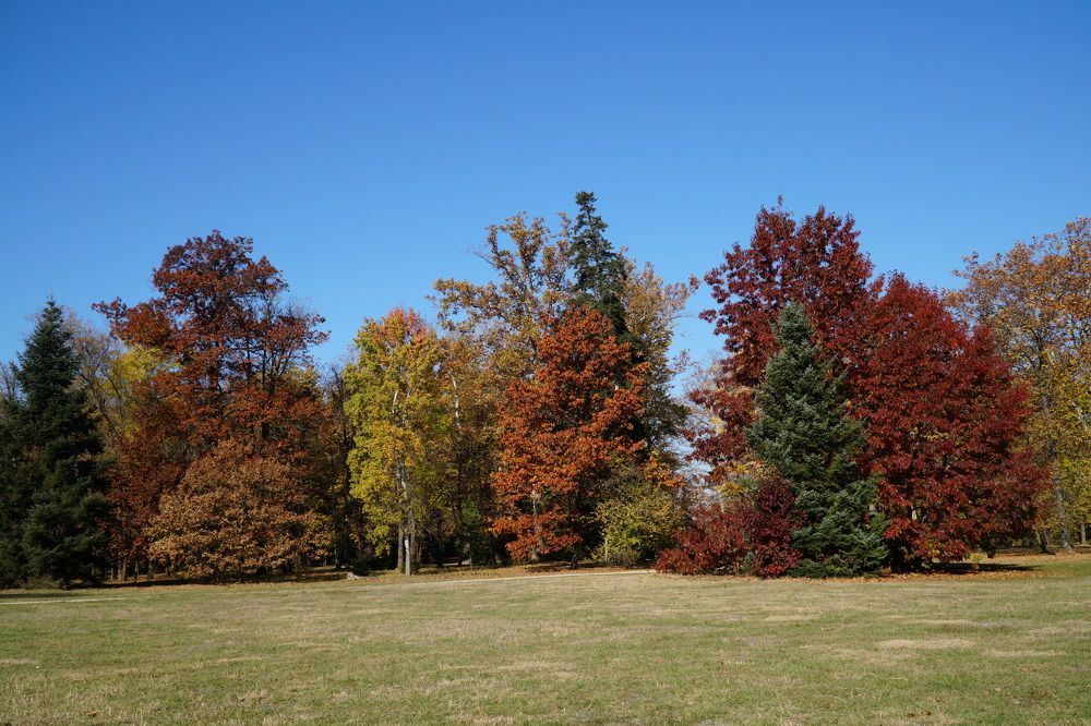 Photograph by Чавдар Георгиев