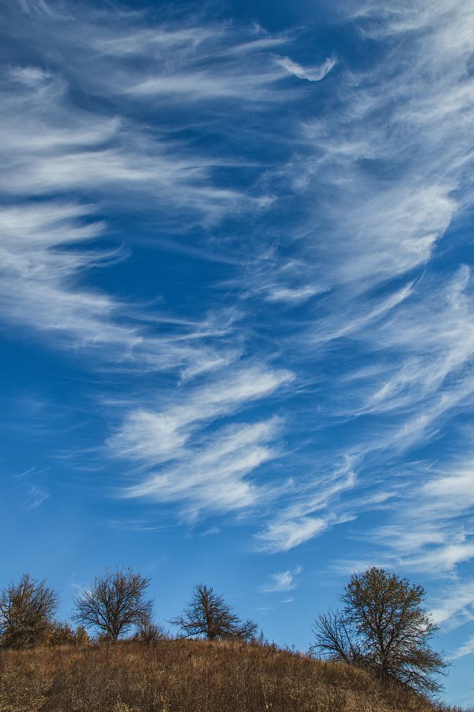 Photograph by Алена