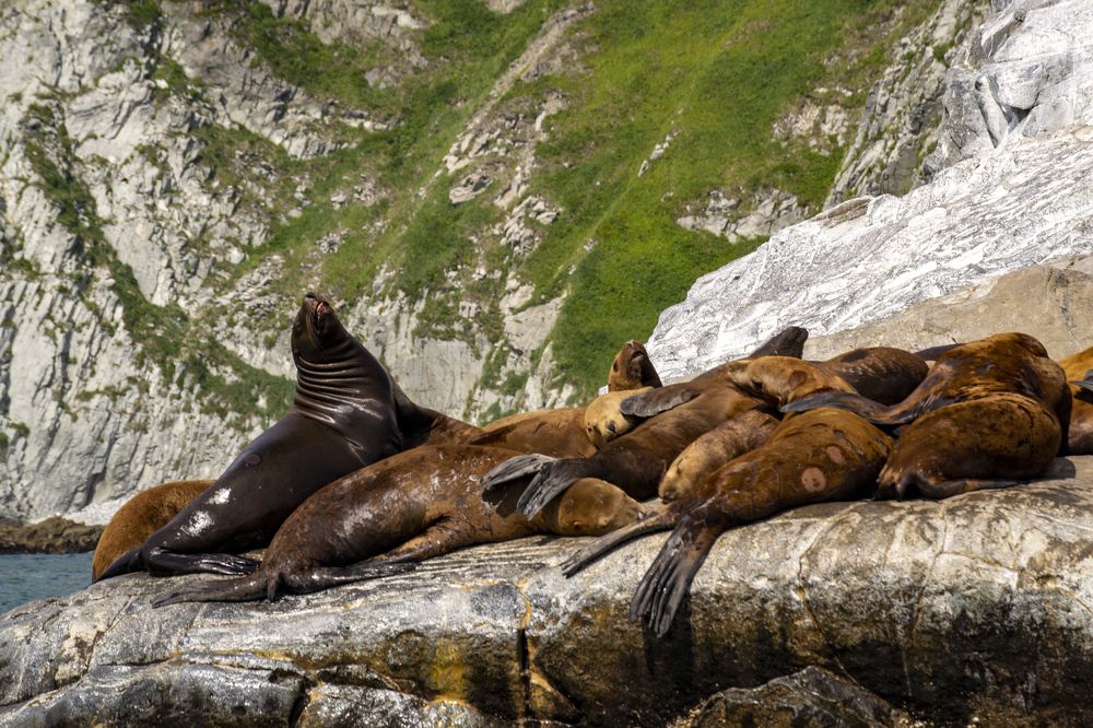 Photograph by Татьяна Решетникова