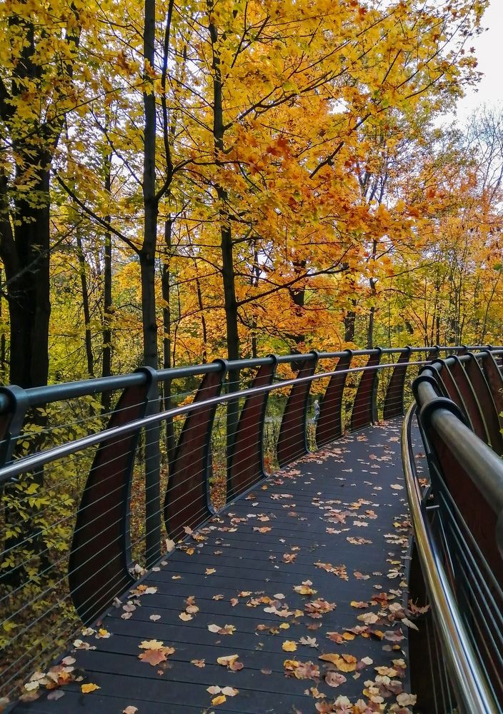 Дорога в осень...