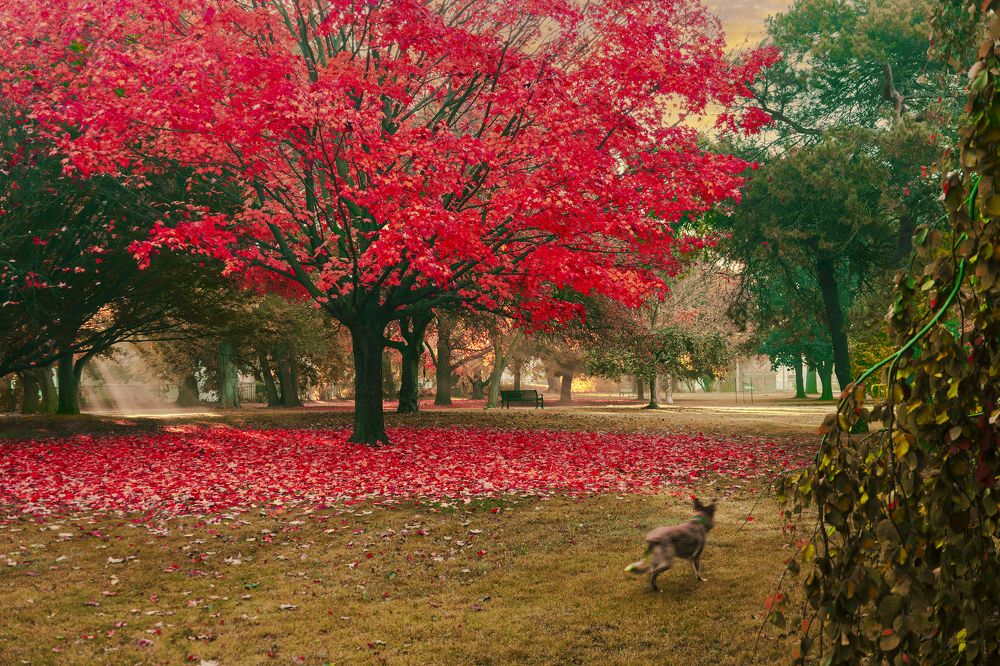 Photograph by Ksenia Kouri