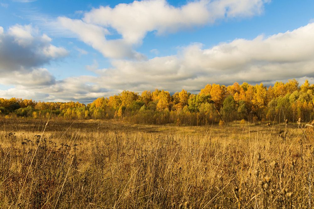 Photograph by Алексей Чеботарев