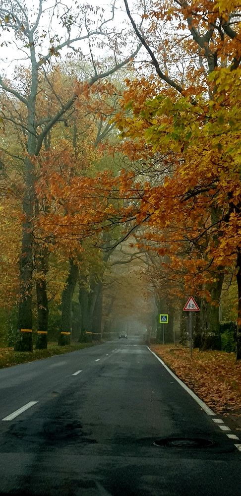 Фотография автора Ашхеник Азарян