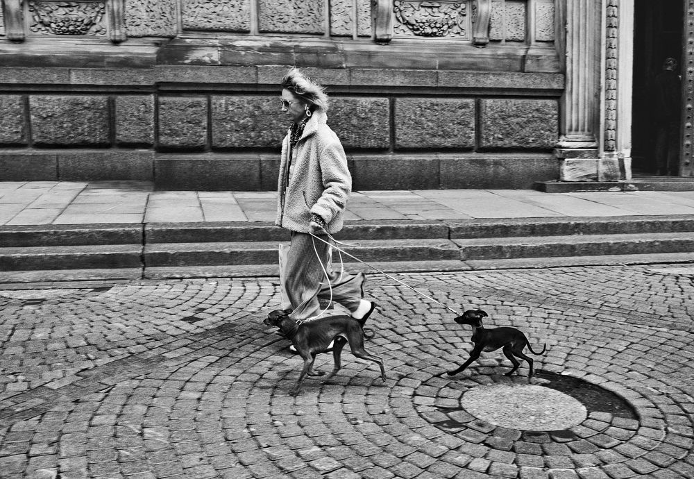 Ветреный день в Питере