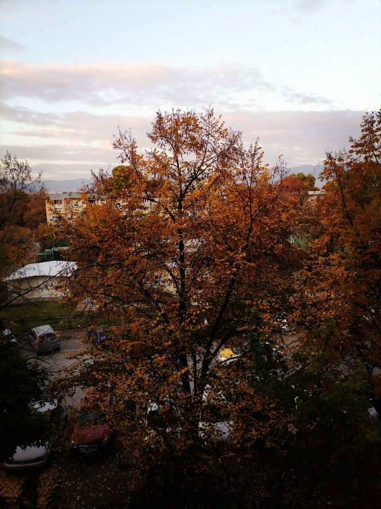 Photograph by Vesna Petkoska