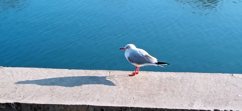 Photograph by Дмитрий Соколов