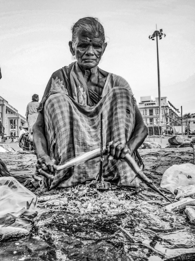 Photograph by Susmita Paul