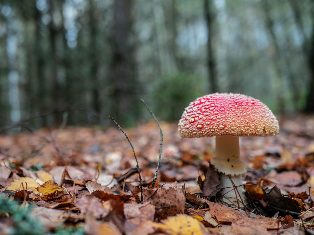 Photograph by Руслан Ибрагимов