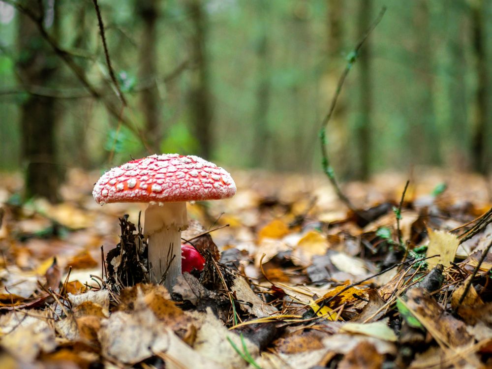 Photograph by Руслан Ибрагимов