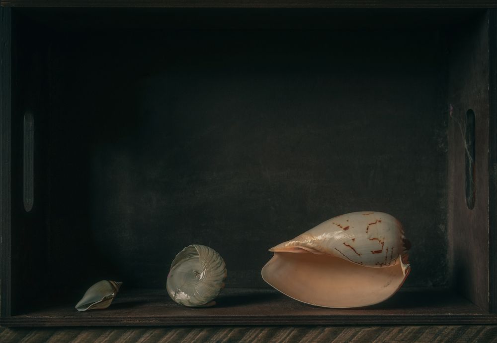 Photograph by Albina Bougartchev