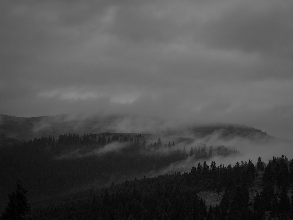 Photograph by Diana-Alexandra Amărinei