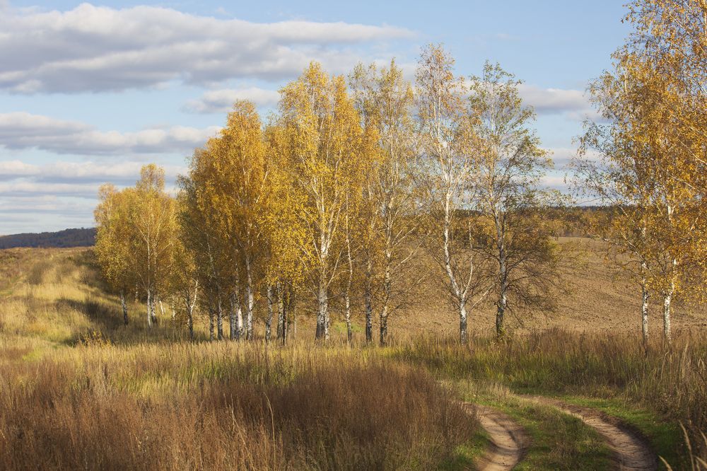 Волжская осень