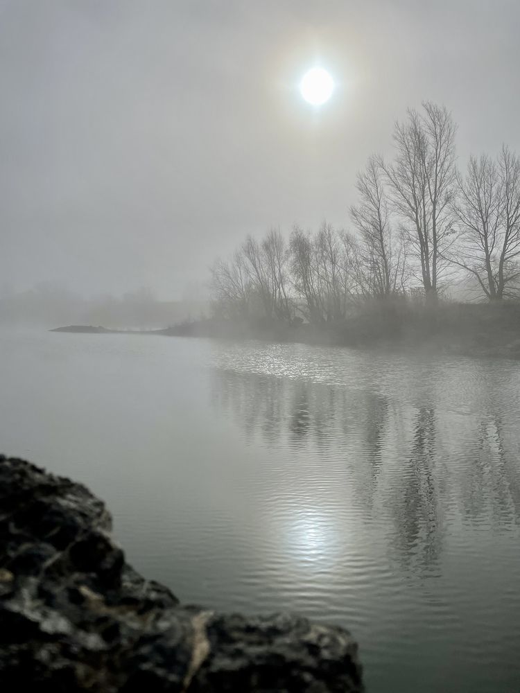 Photograph by Елена Секрет