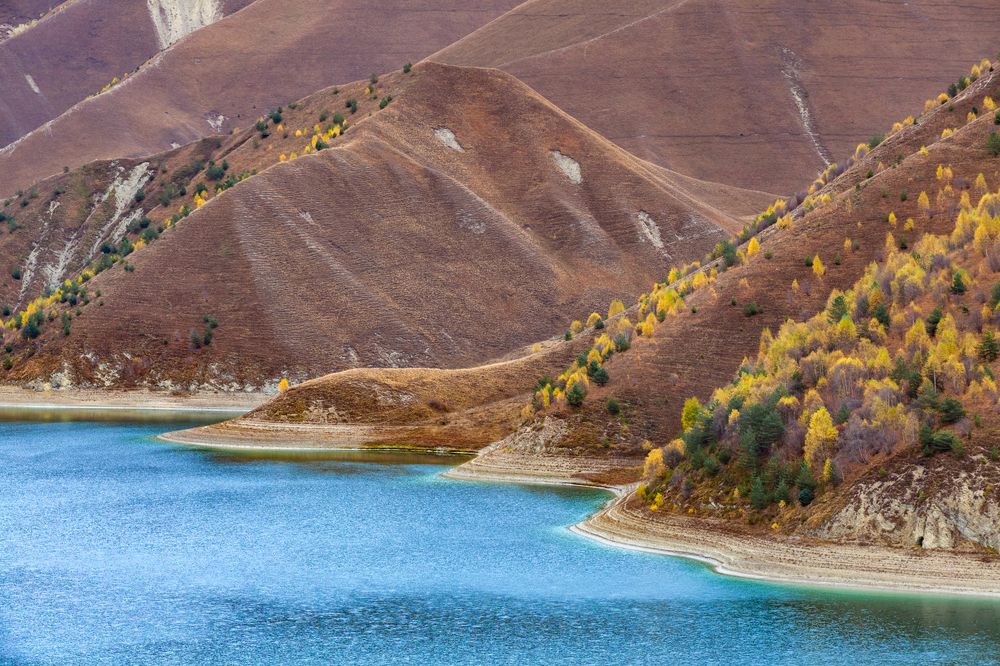 Photograph by Lavskaya Elena