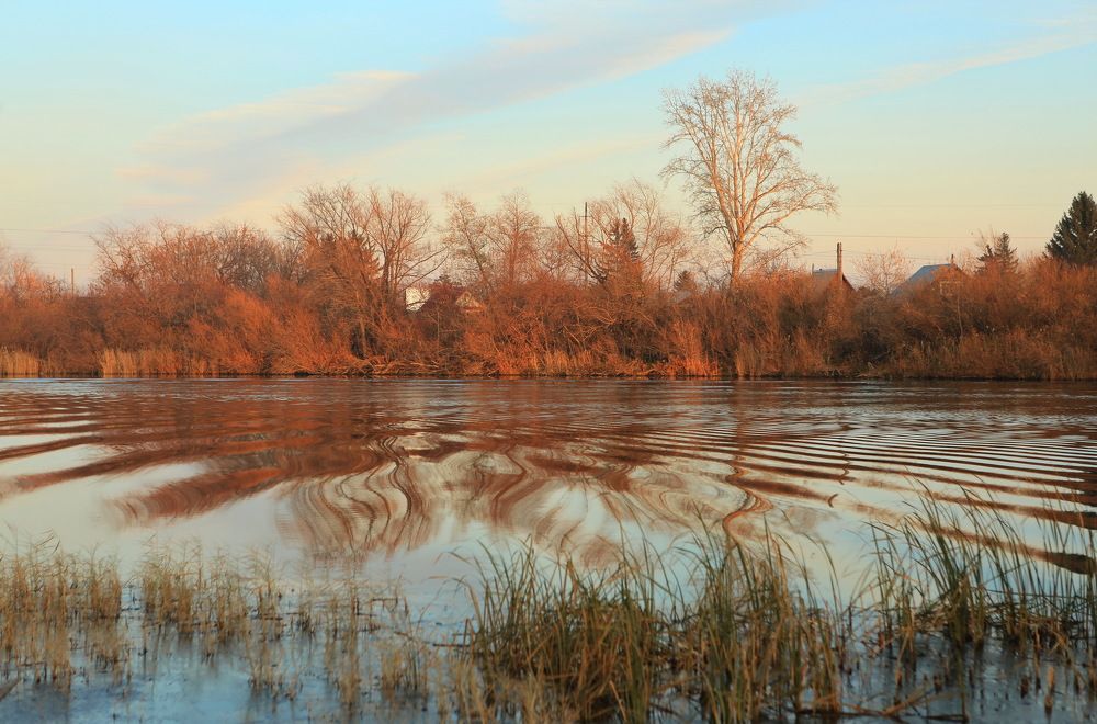 Photograph by Ирина Сушко