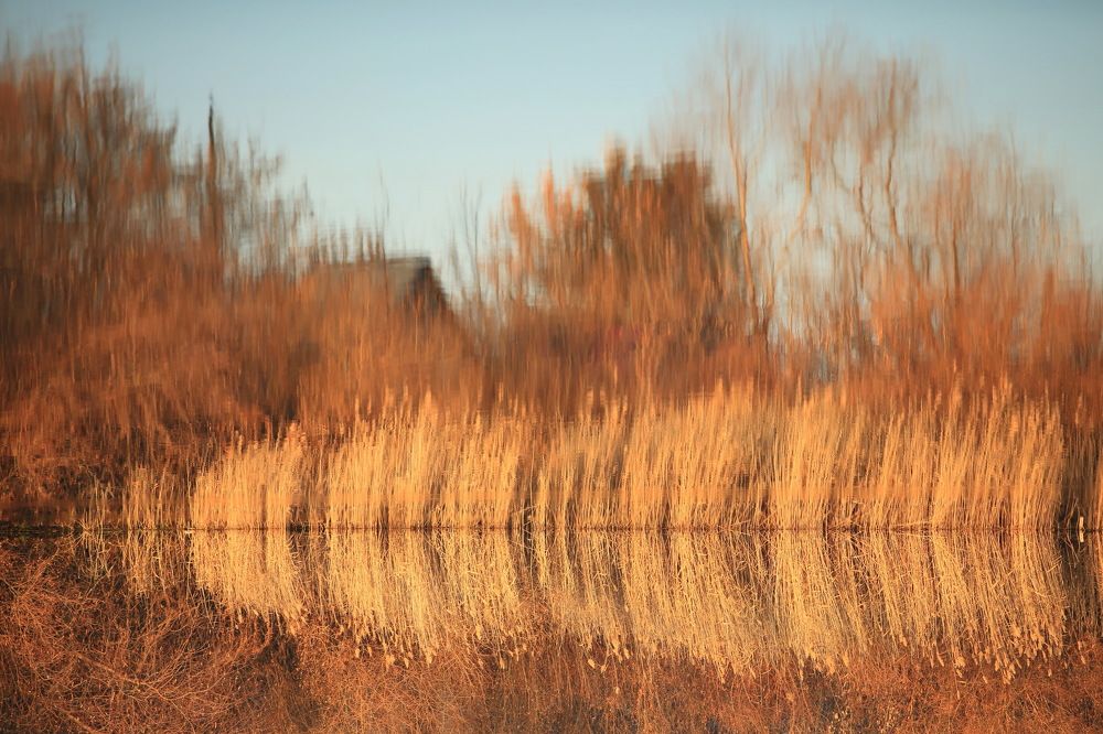 Photograph by Ирина Сушко