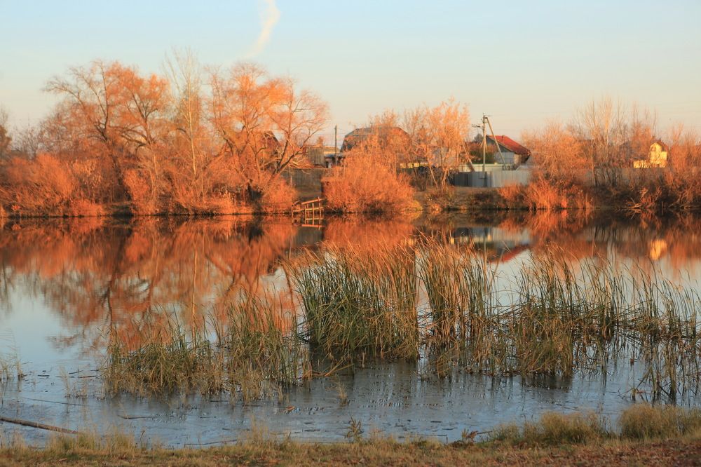 Photograph by Ирина Сушко