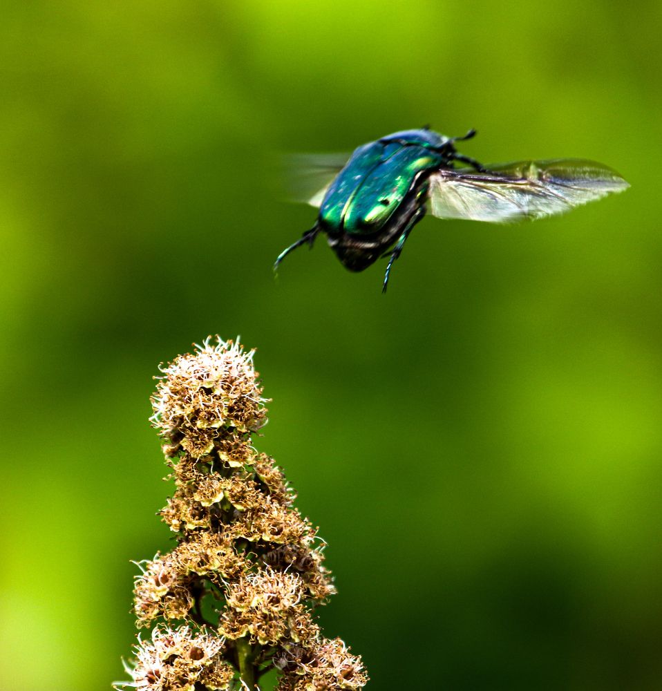 Photograph by Анна Чадова