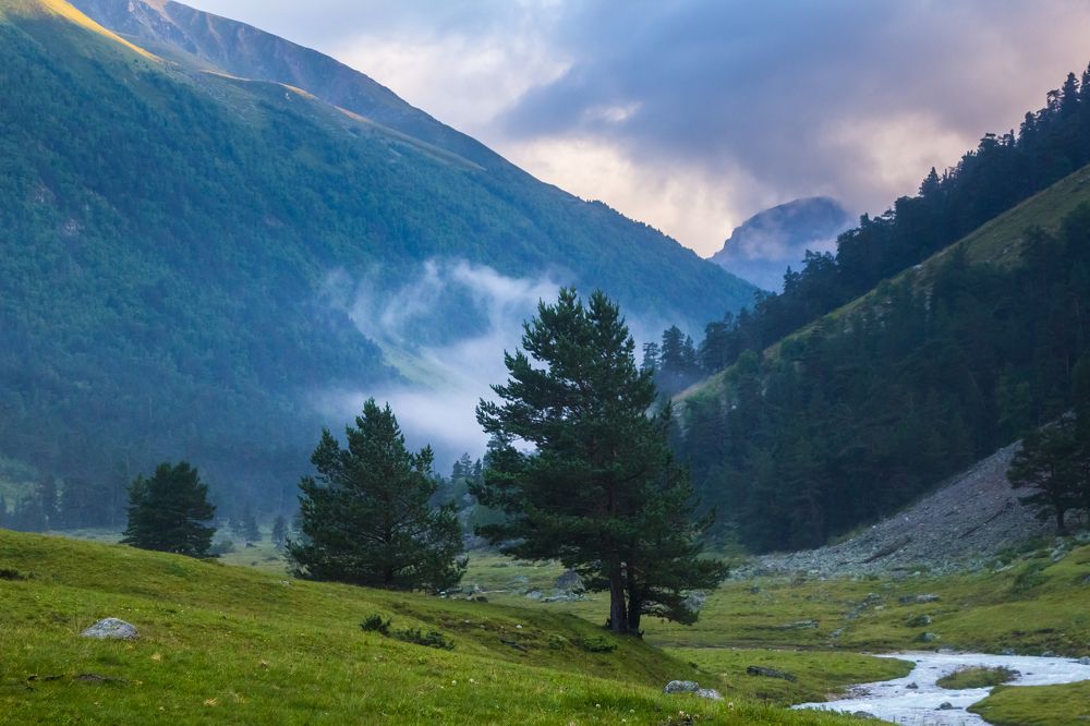 Photograph by Алексей