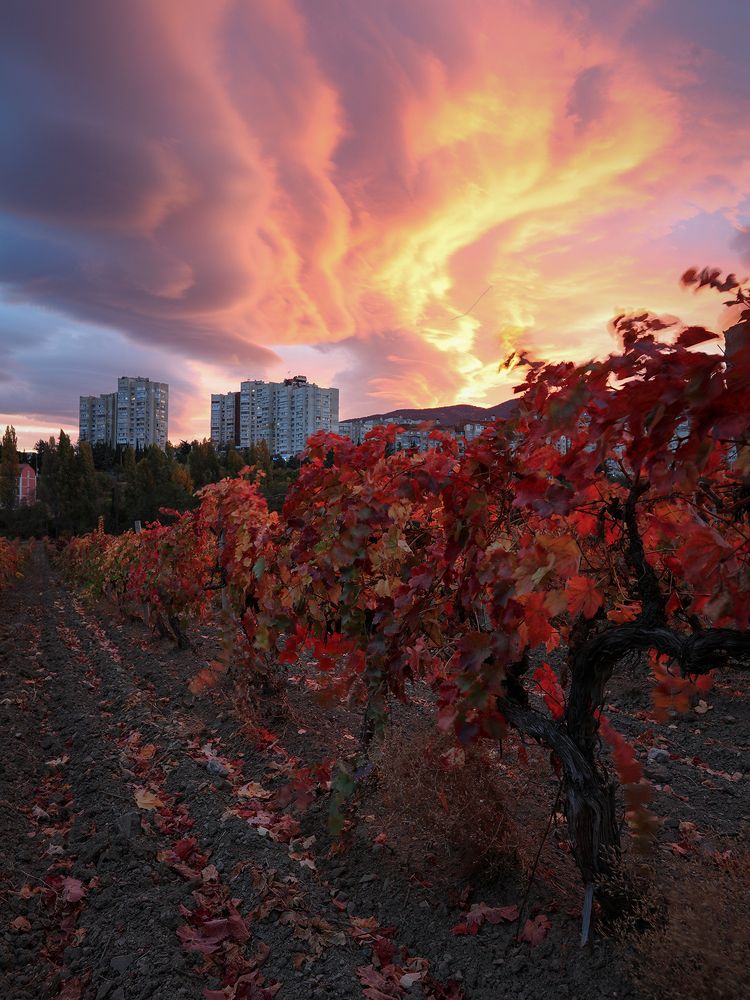 На границе дня и вечера.