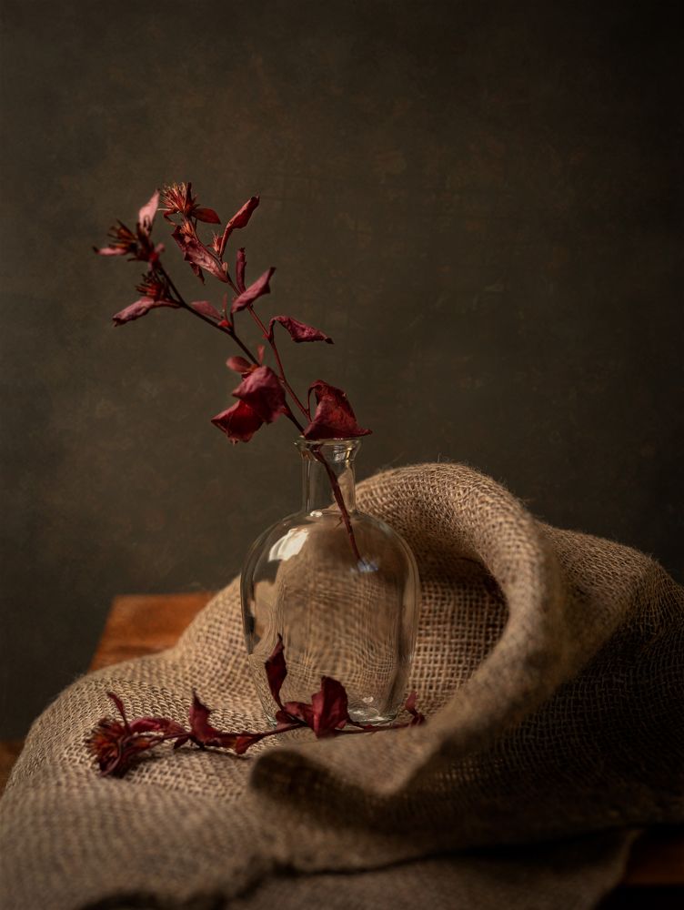 Photograph by Elena Brown