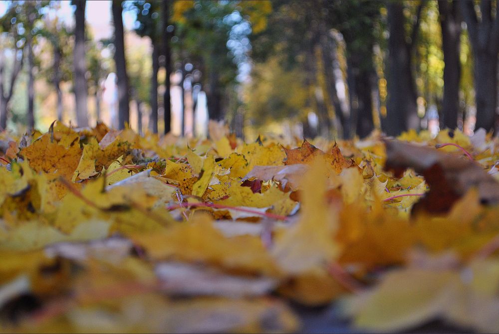 Photograph by Роман Туркин