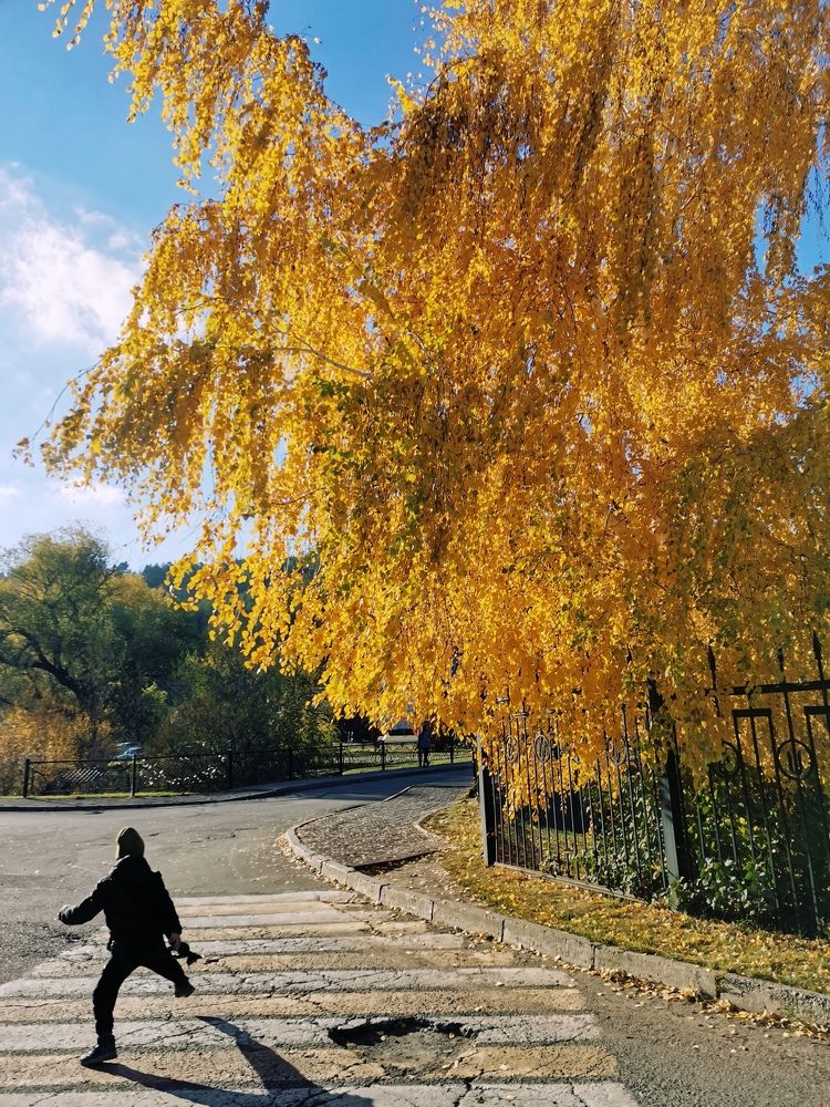 Photograph by Анна Чадова