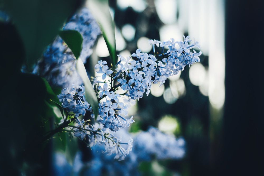 Photograph by Алексей Дукин