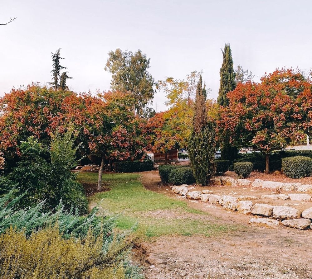 Фотография автора Galina Sa