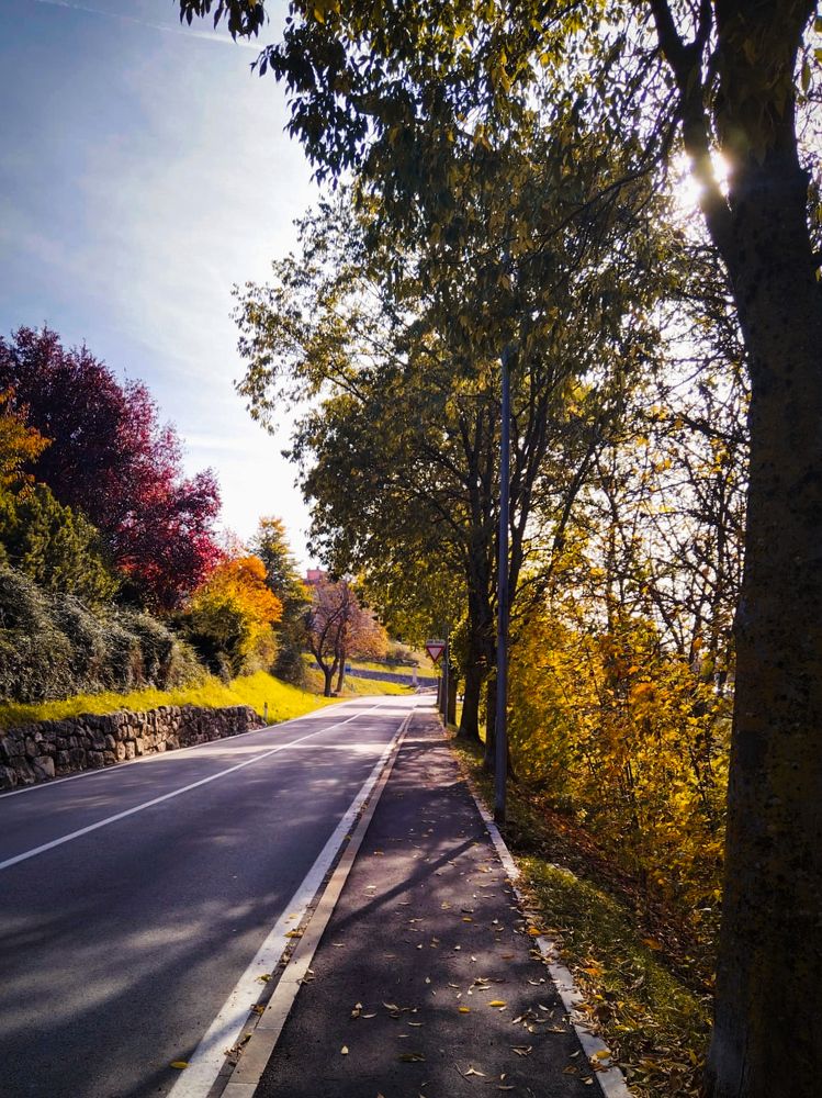 Photograph by Irina Marzo