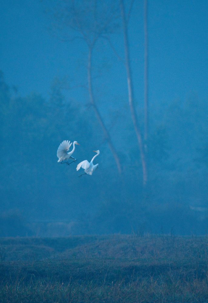 Photograph by Aishik Das